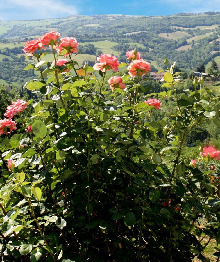 Country House Ca' Vernaccia Guest House Urbino Eksteriør bilde