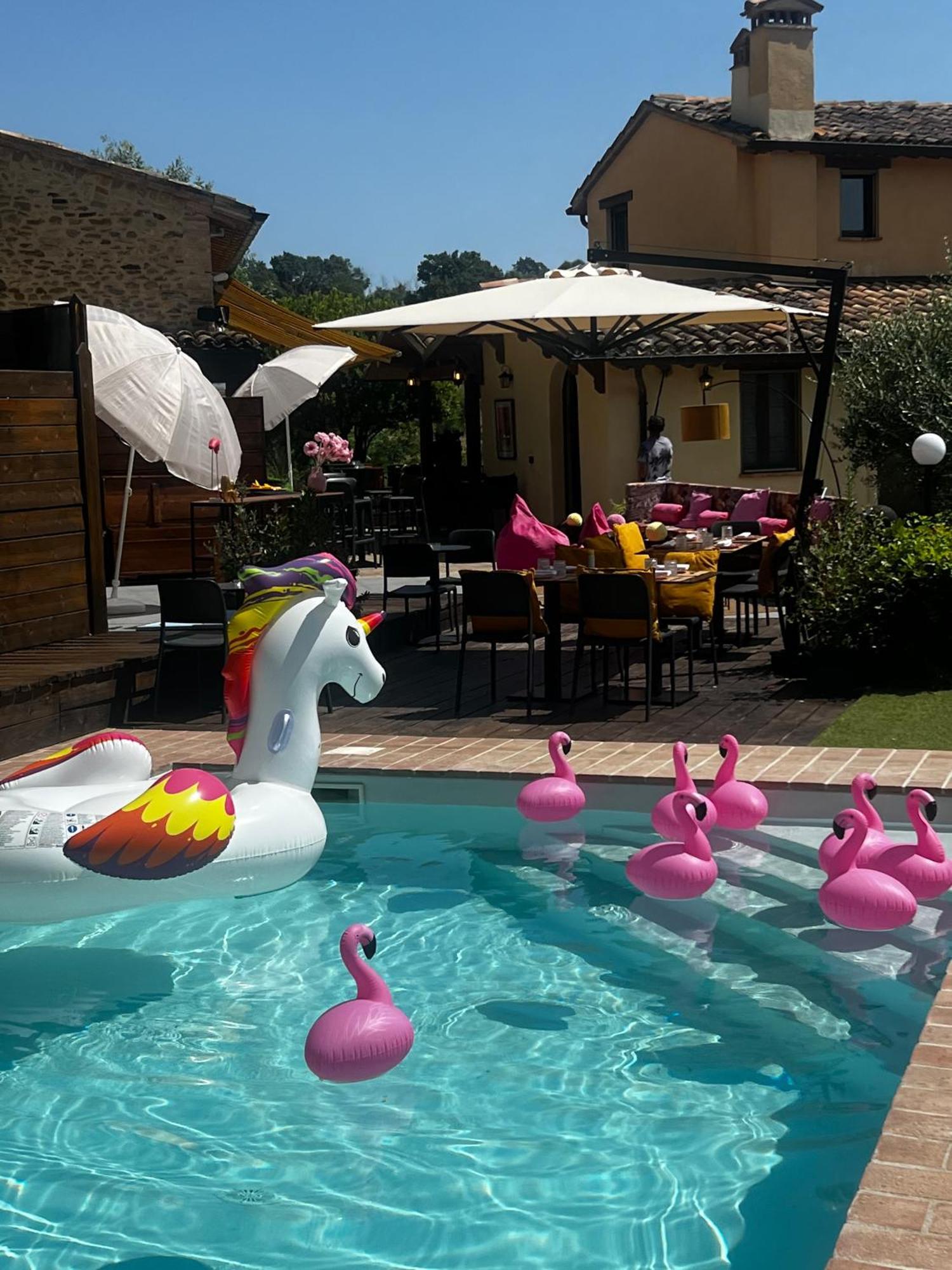 Country House Ca' Vernaccia Guest House Urbino Eksteriør bilde