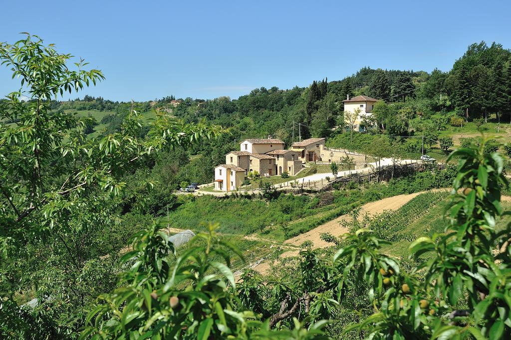 Country House Ca' Vernaccia Guest House Urbino Eksteriør bilde
